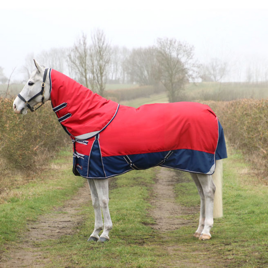 DefenceX System 200g Turnout Rug with Detachable Neck Cover