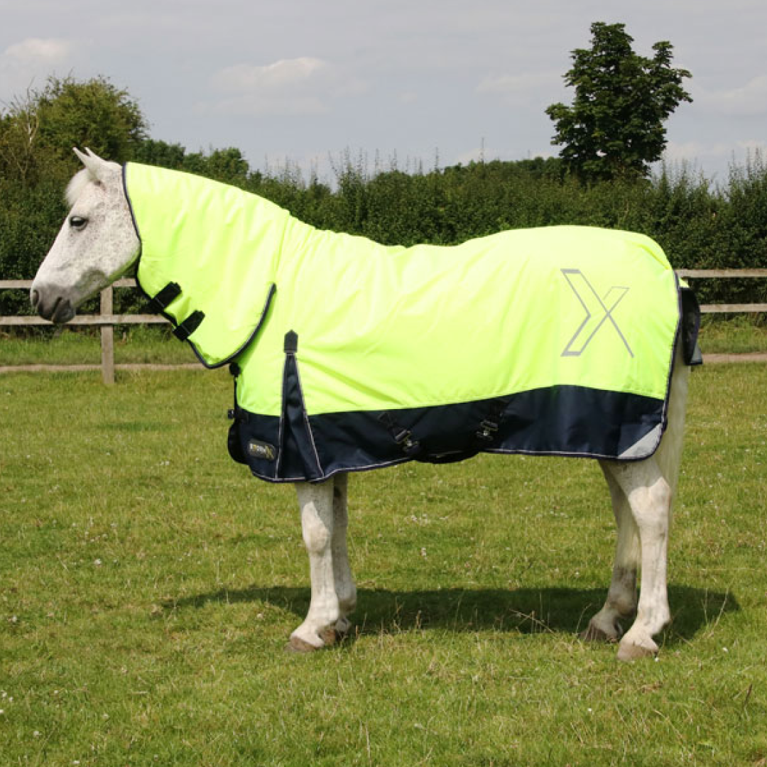 StormX Original 200 Reflective Combo Turnout Rug