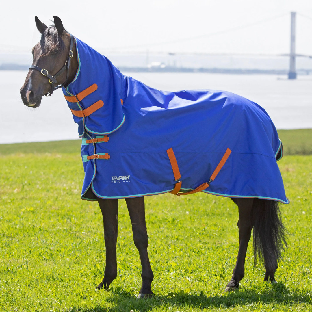 Shires Tempest Original 50g Combo Turnout Rug