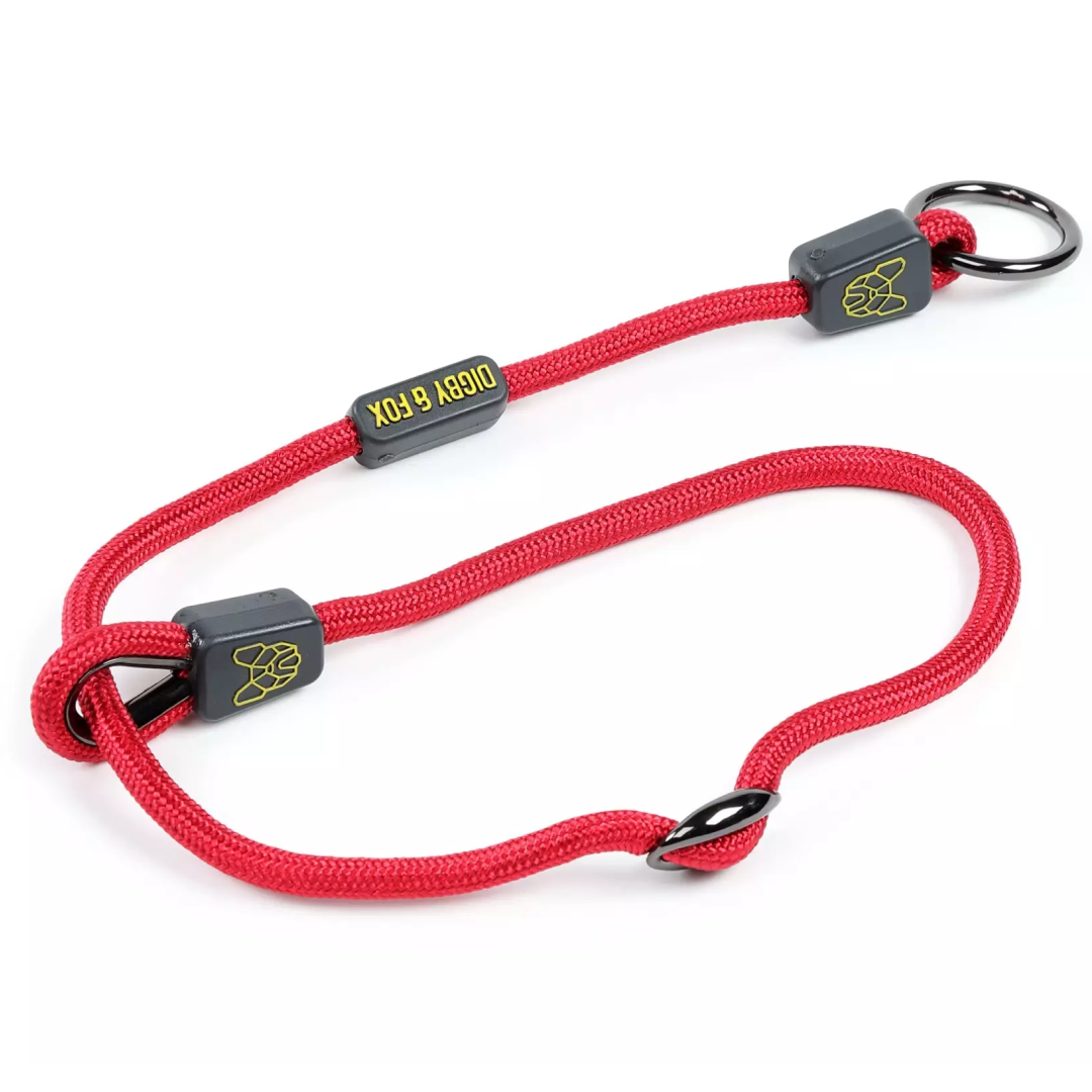 Digby & Fox Pro Slip Dog Collar