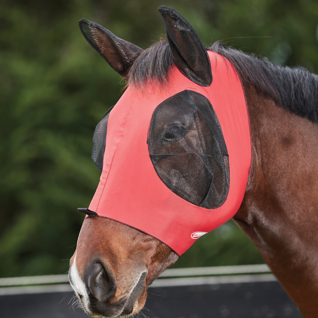 Weatherbeeta Deluxe Stretch Bug Eye Saver With Ears