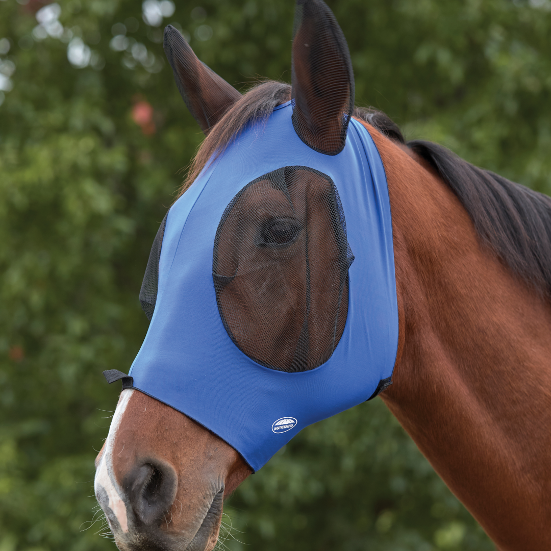 Weatherbeeta Deluxe Stretch Bug Eye Saver With Ears
