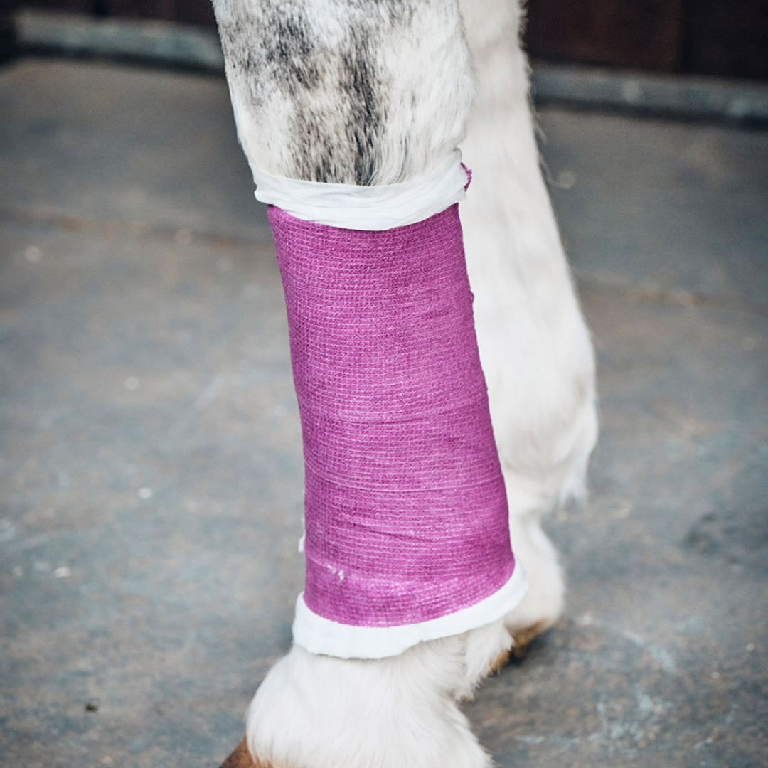 Robinsons Healthcare Equiwrap Bandage