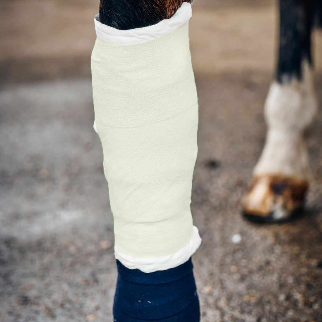 Robinsons Healthcare Equiwrap Bandage