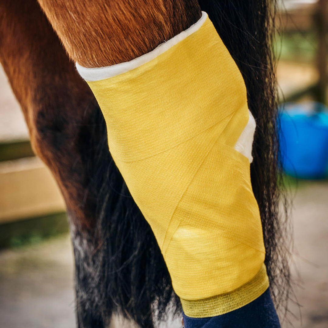 Robinsons Healthcare Equiwrap Bandage