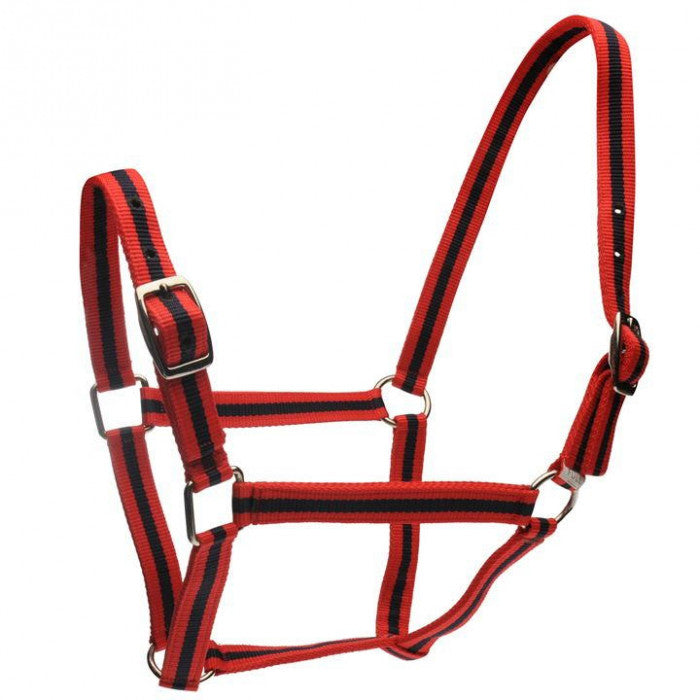 Roma Head Collar & Lead Set