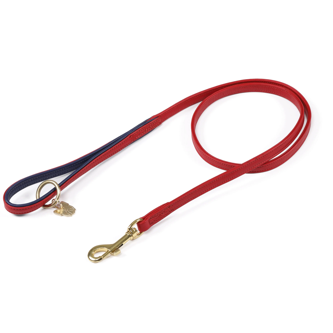 Shires Digby & Fox Padded Leather Dog Lead