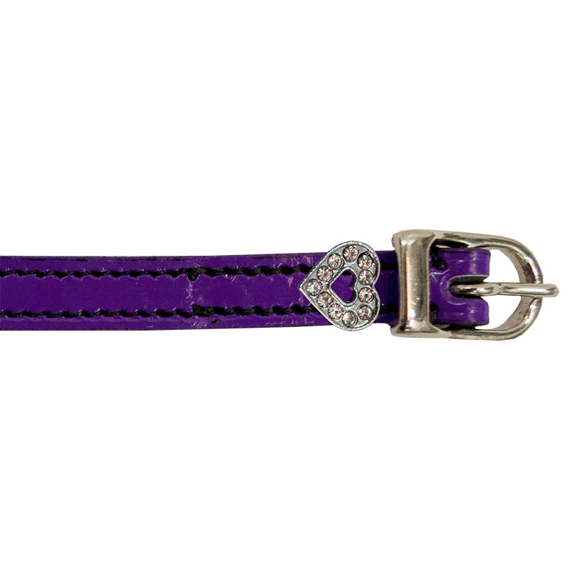 Imperial Riding Shiny Spur Straps