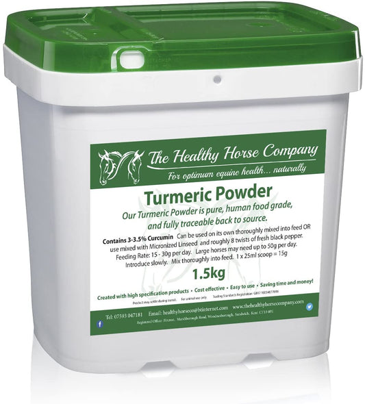 Turmeric Powder
