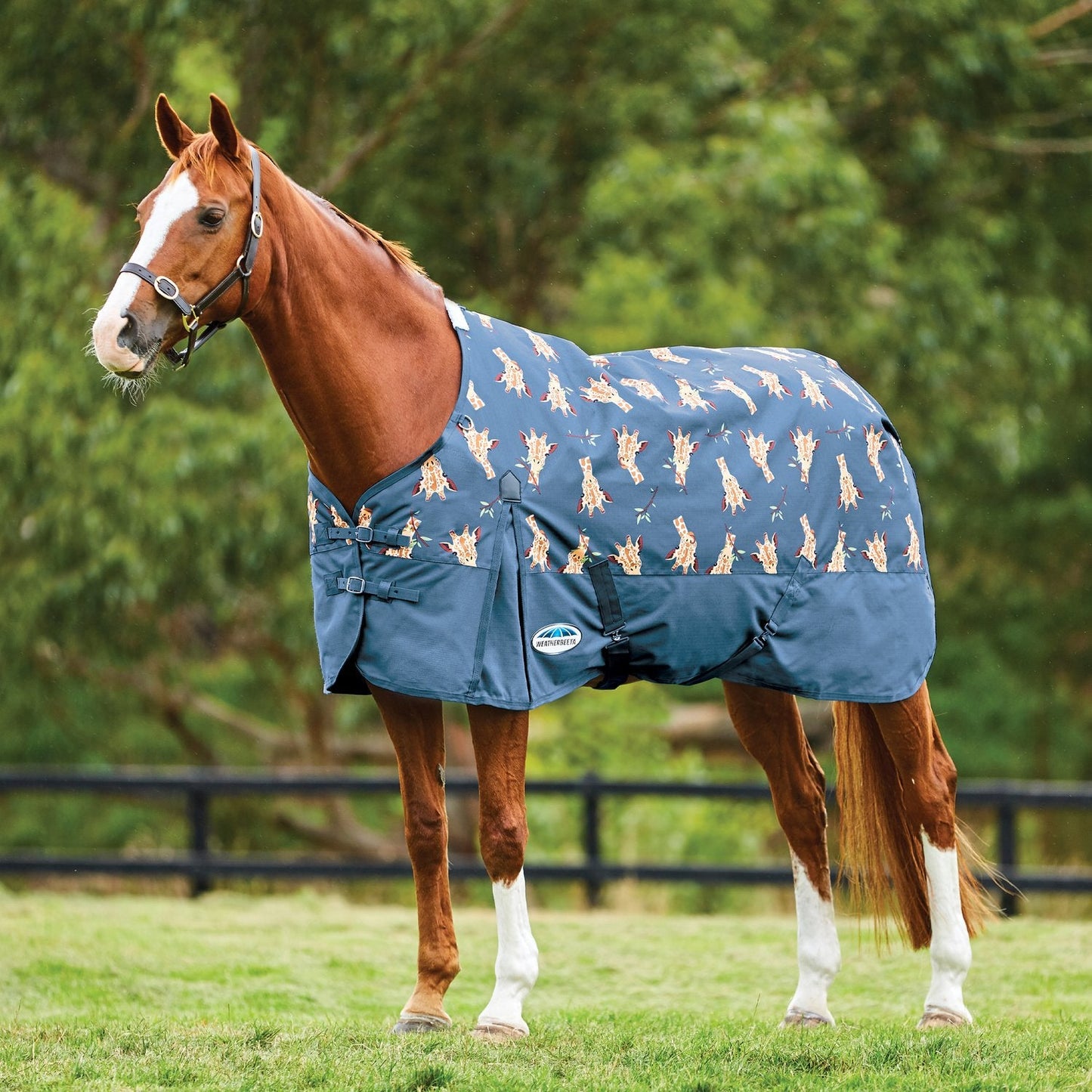 Weatherbeeta Comfitec Essential Standard Neck Lite Giraffe Print
