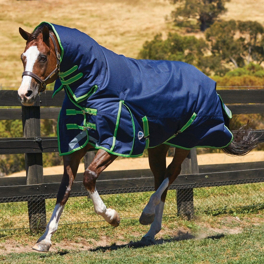 Weatherbeeta Comfitec Plus Dynamic Combo Neck Medium/Lite
