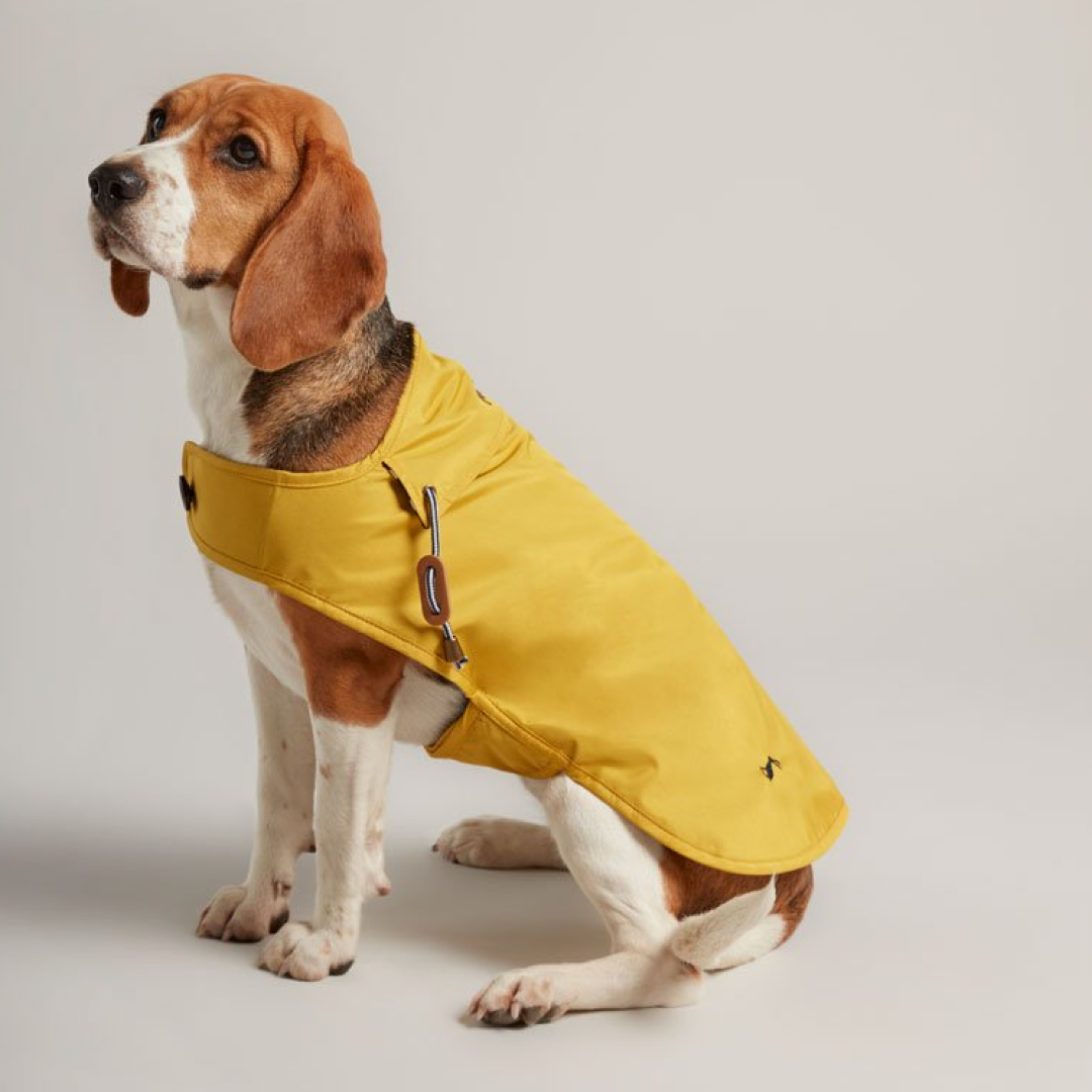 Joules Water Resistant Dog Coat