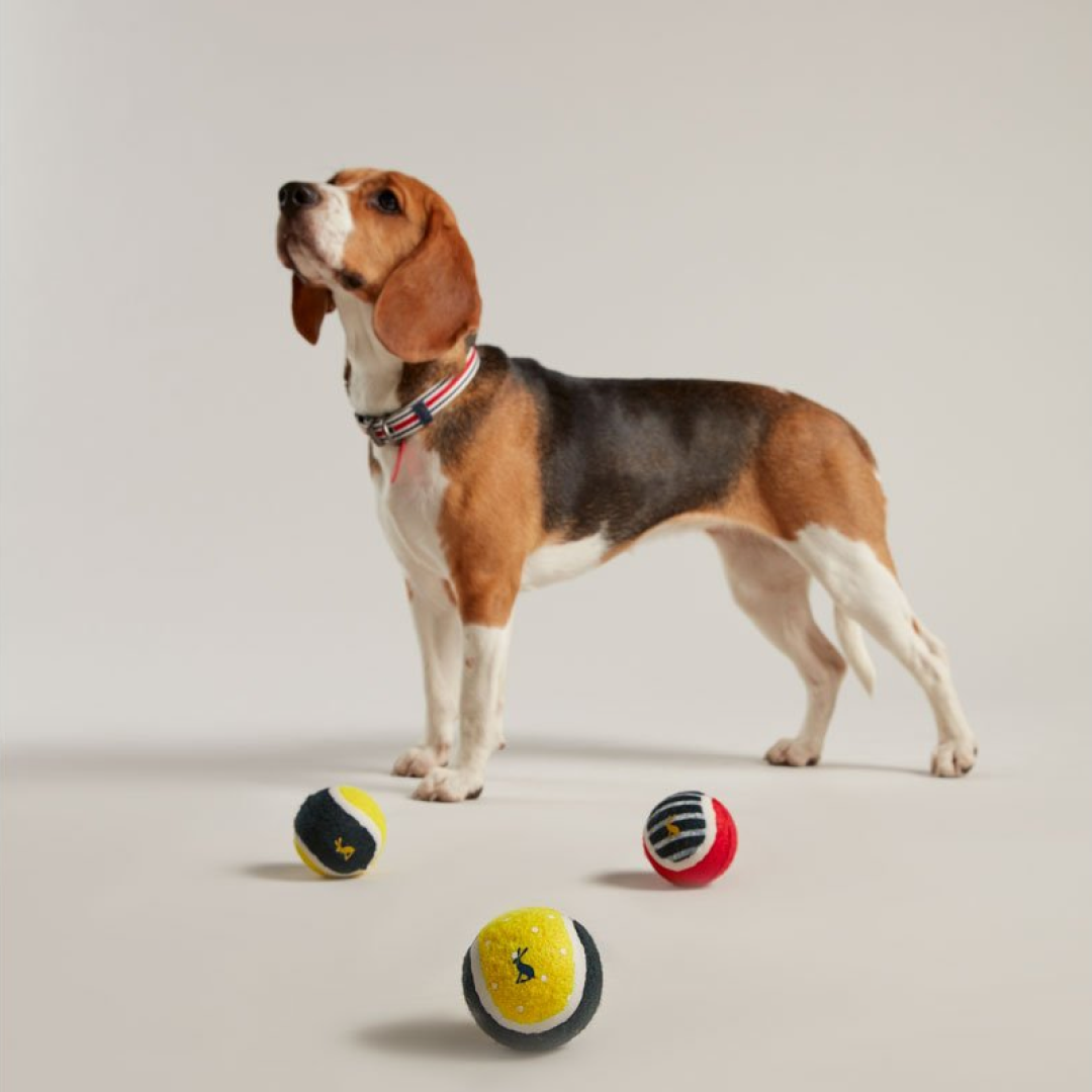 Joules Outdoor Balls