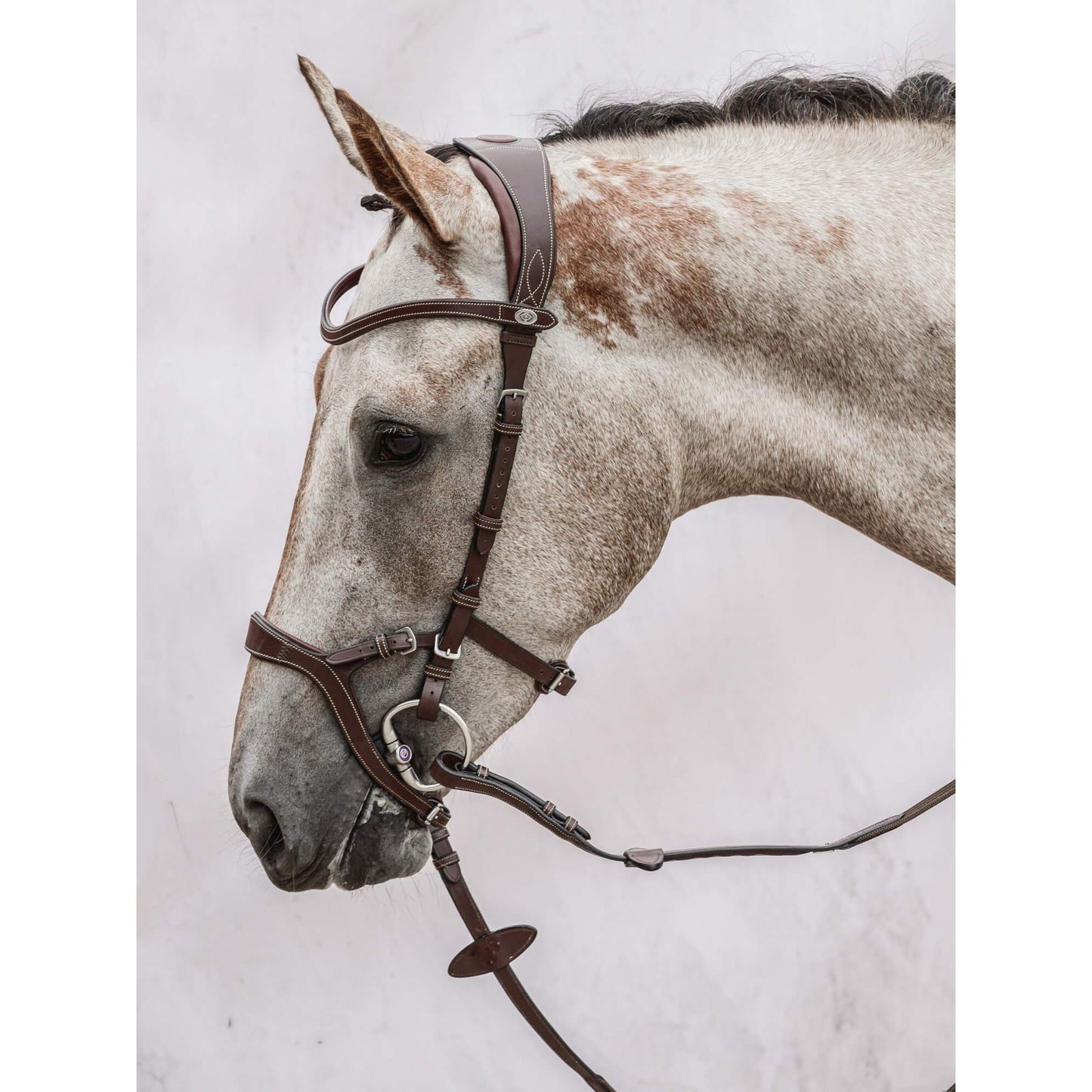 PS of Sweden Brown Nirak Bridle