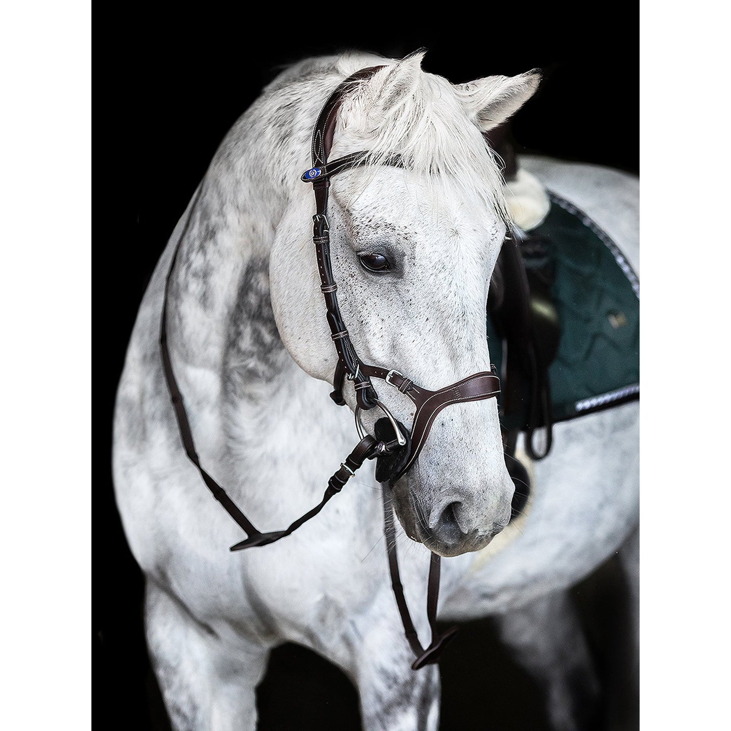 PS of Sweden Brown Nirak Bridle