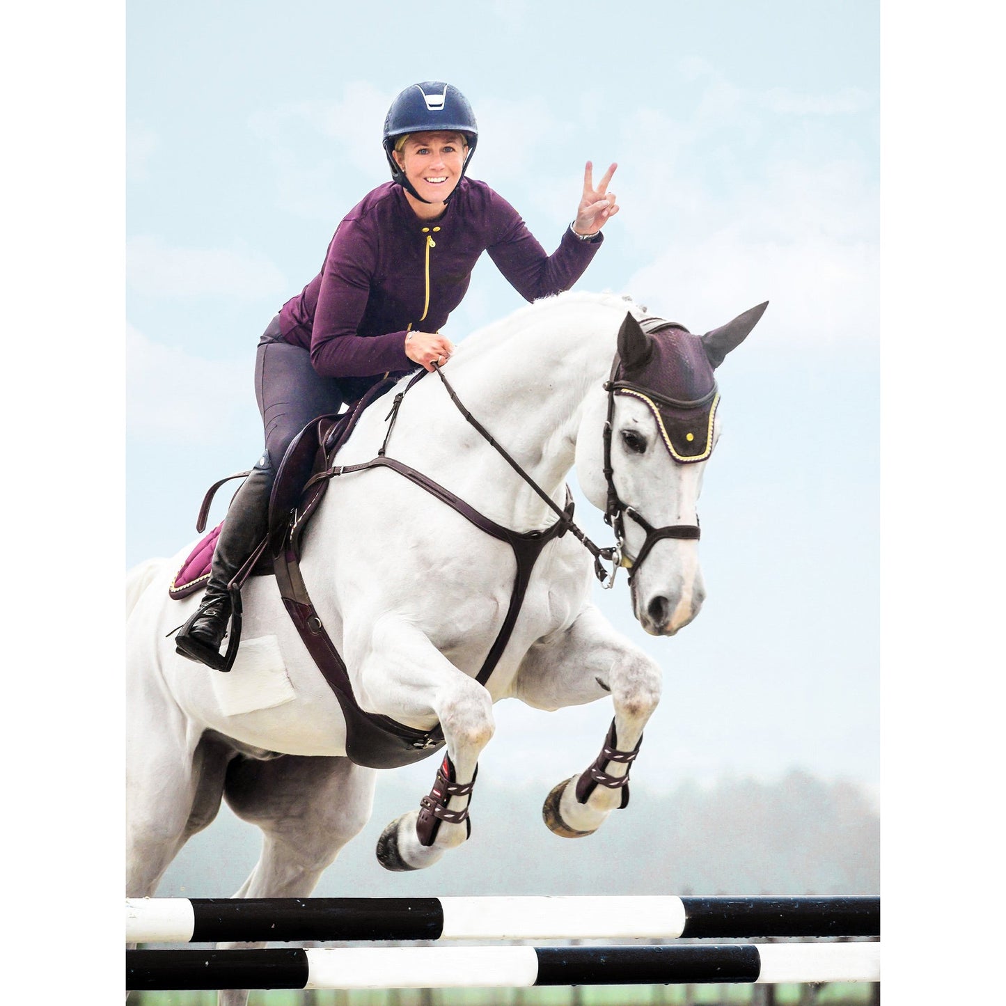 PS of Sweden Brown Nirak Bridle