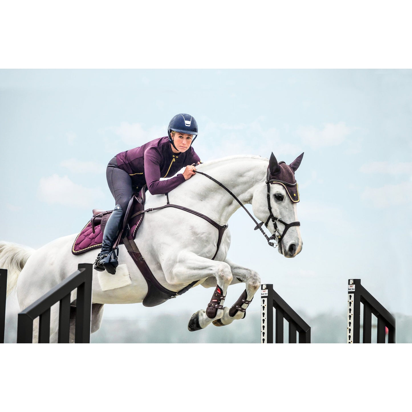PS of Sweden Brown Nirak Bridle