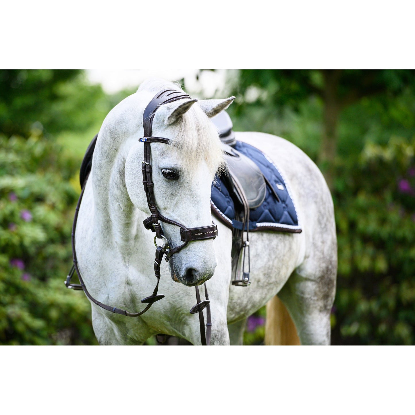 PS of Sweden Black High Jump Bridle