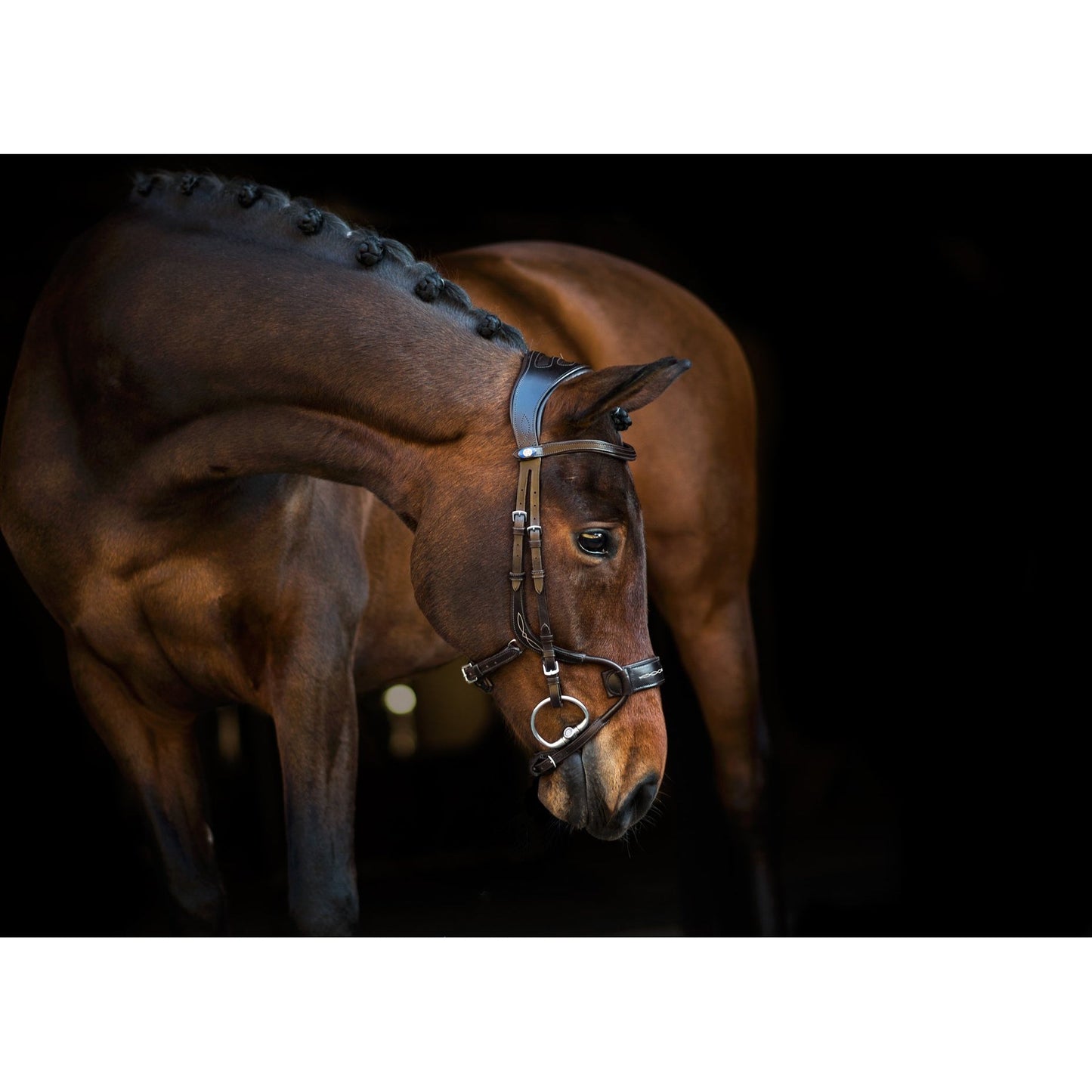 PS of Sweden Black High Jump Bridle