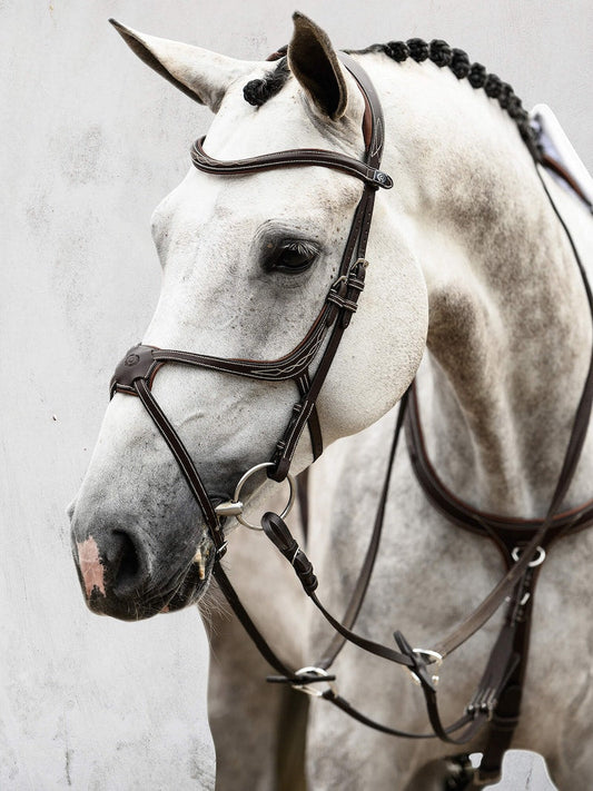 PS of Sweden Athens Bridle #colour_brown