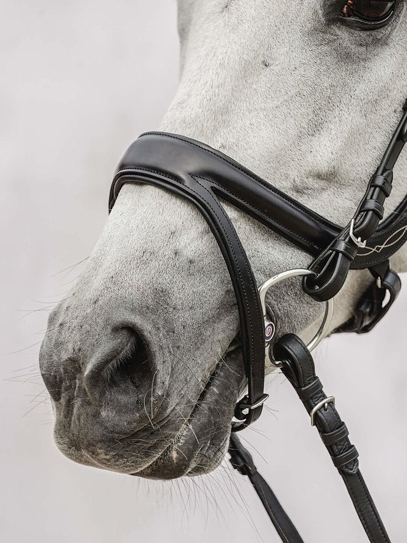 PS of Sweden Jump Off Bridle #colour_brown