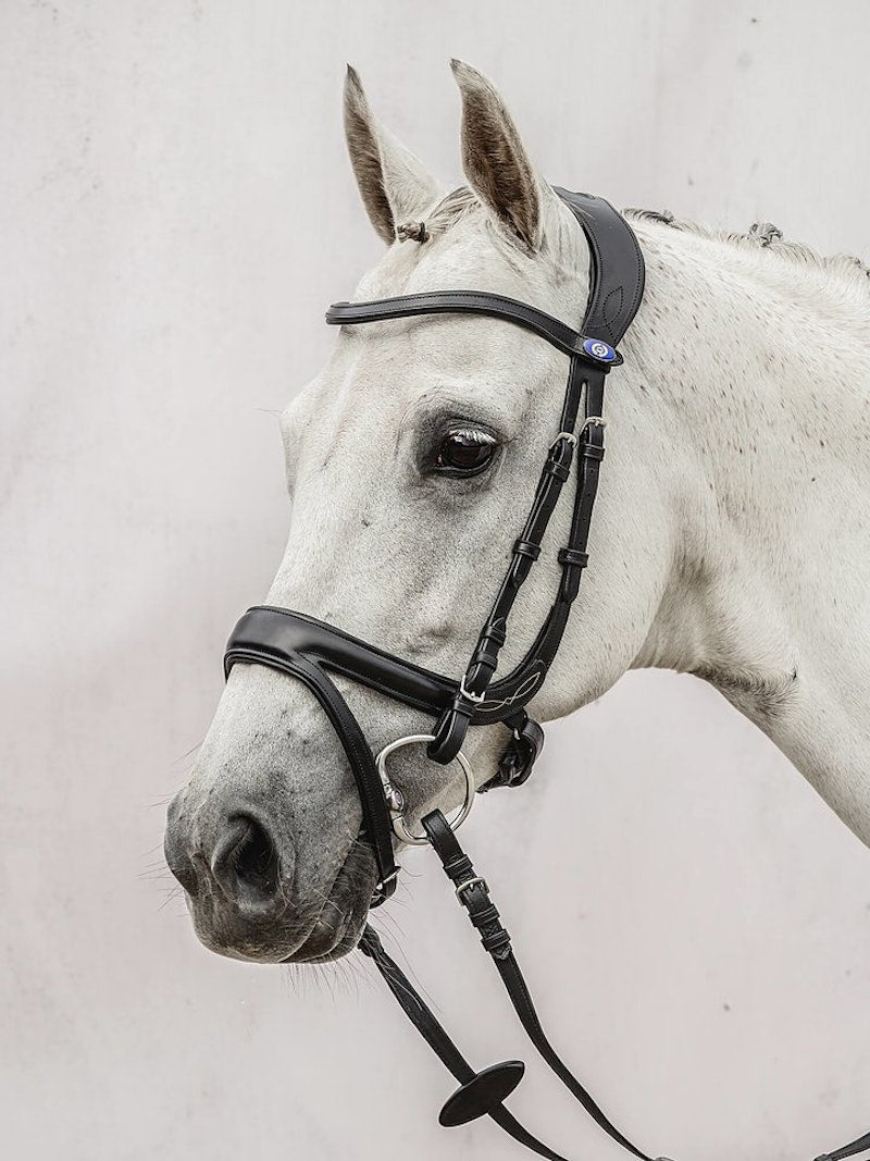 PS of Sweden Jump Off Bridle #colour_black