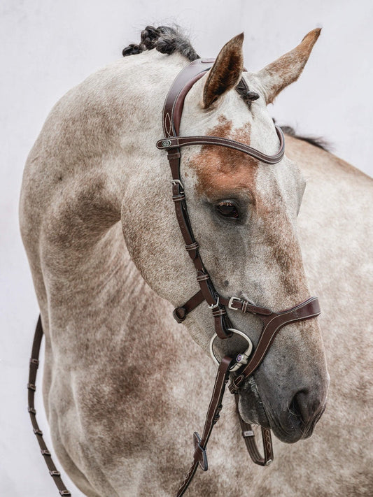 PS of Sweden Nirak Bridle #colour_brown