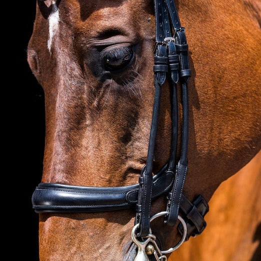 PS of Sweden Paragon Double Bridle #colour_black