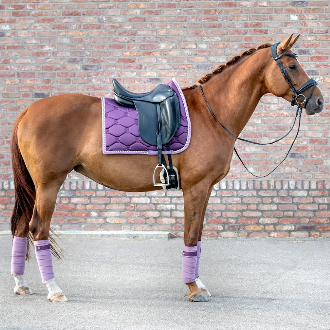 PS of Sweden Hortensia Signature Dressage Saddle Pad