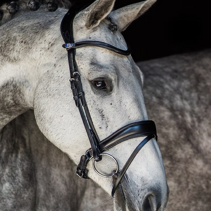 PS de Suecia Black Flying Change Bridle