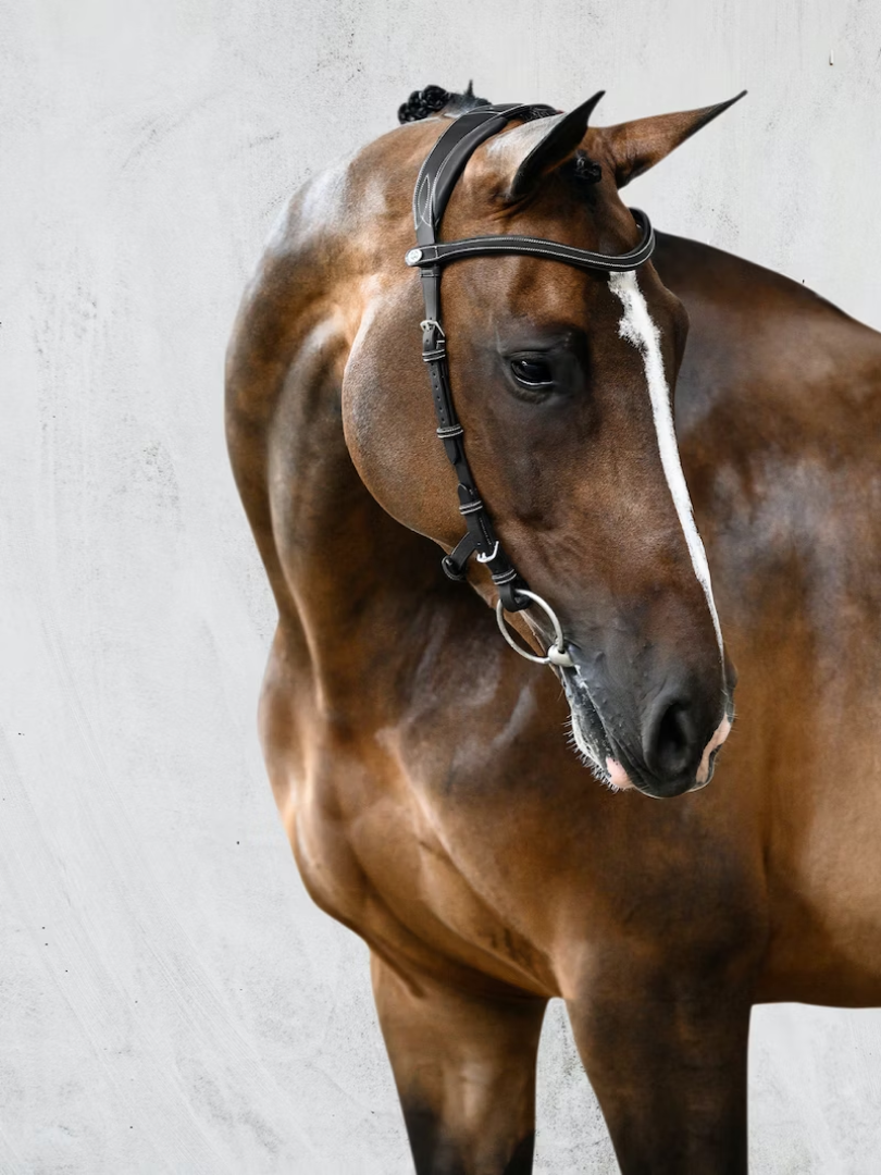 PS of Sweden Bridle Helsinki #colour_black-leather