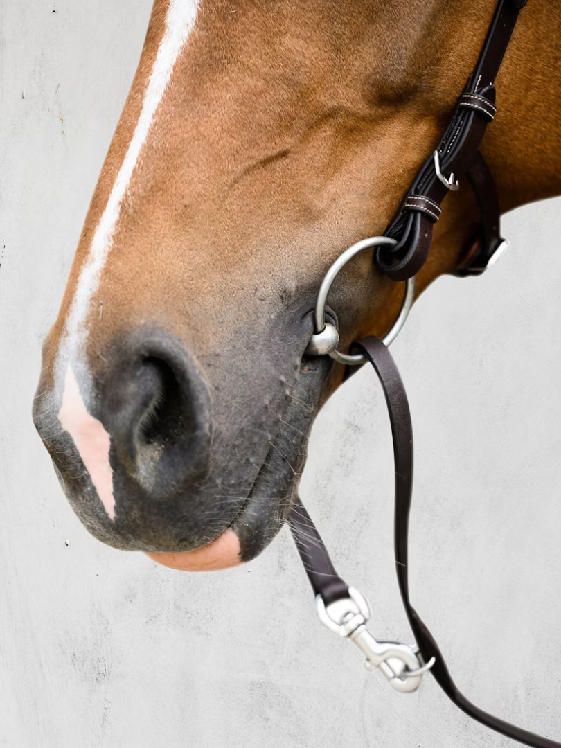 PS of Sweden Bridle Helsinki #colour_brown-leather