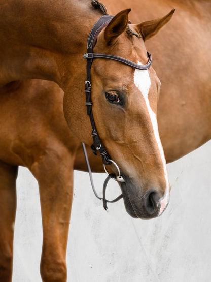 PS of Sweden Bridle Helsinki #colour_brown-leather